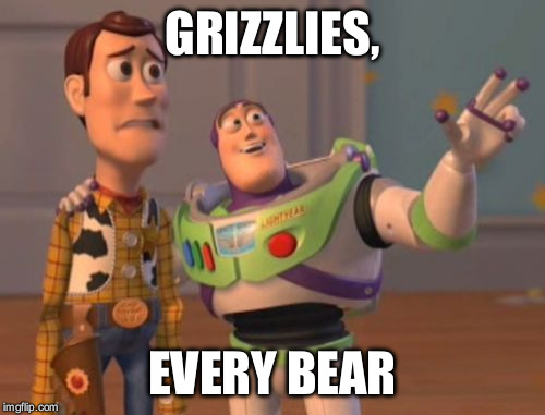 X, X Everywhere | GRIZZLIES, EVERY BEAR | image tagged in memes,x x everywhere | made w/ Imgflip meme maker