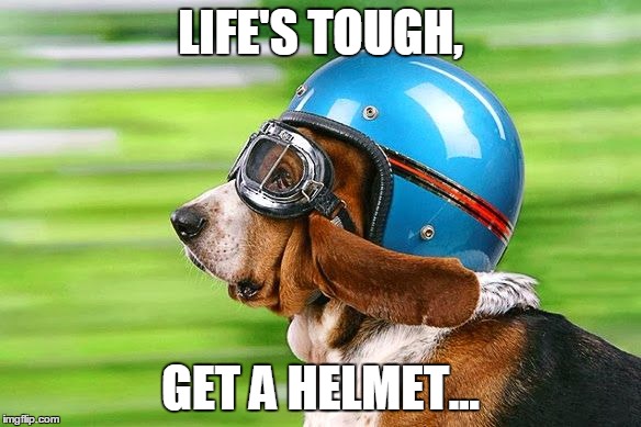 Life's Tough | LIFE'S TOUGH, GET A HELMET... | image tagged in dog | made w/ Imgflip meme maker