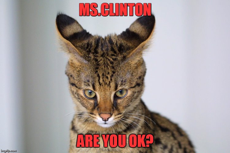 MS.CLINTON; ARE YOU OK? | made w/ Imgflip meme maker