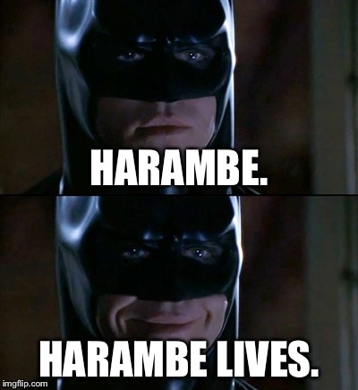 Batman Smiles | HARAMBE. HARAMBE LIVES. | image tagged in memes,batman smiles | made w/ Imgflip meme maker