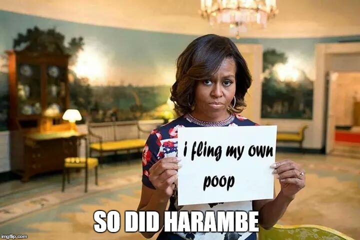 SO DID HARAMBE | made w/ Imgflip meme maker