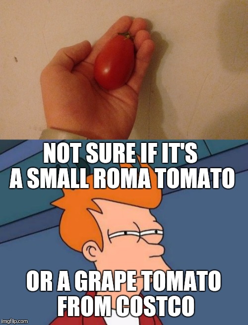It's actually a small Roma | NOT SURE IF IT'S A SMALL ROMA TOMATO; OR A GRAPE TOMATO FROM COSTCO | image tagged in memes,futurama fry,tomatoes | made w/ Imgflip meme maker