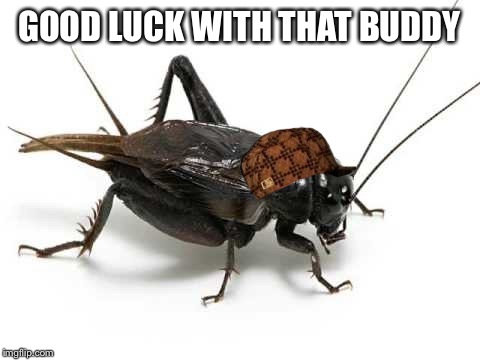 GOOD LUCK WITH THAT BUDDY | made w/ Imgflip meme maker