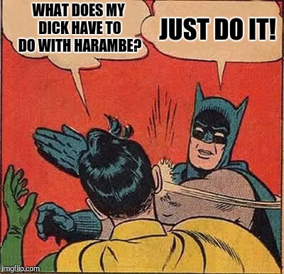Batman Slapping Robin Meme | WHAT DOES MY DICK HAVE TO DO WITH HARAMBE? JUST DO IT! | image tagged in memes,batman slapping robin | made w/ Imgflip meme maker