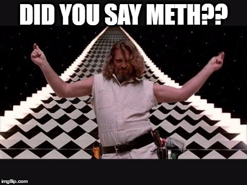 the dude | DID YOU SAY METH?? | image tagged in drugs | made w/ Imgflip meme maker