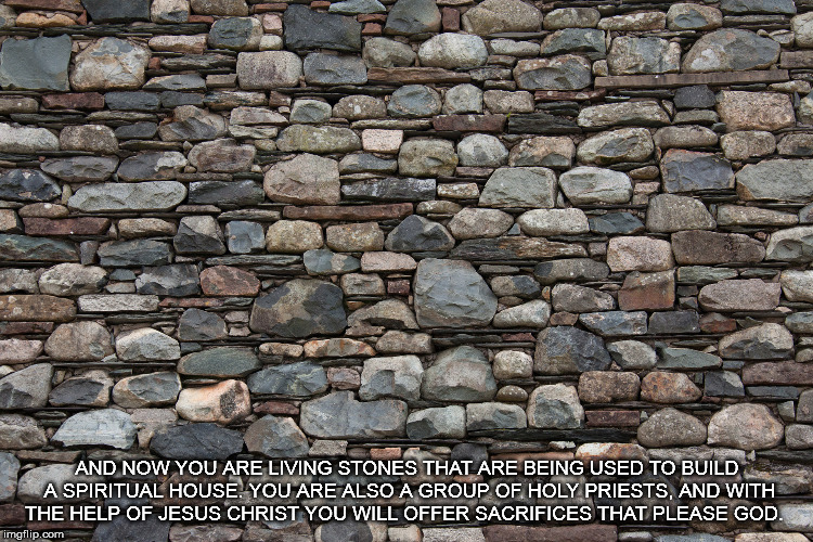 living stones | AND NOW YOU ARE LIVING STONES THAT ARE BEING USED TO BUILD A SPIRITUAL HOUSE. YOU ARE ALSO A GROUP OF HOLY PRIESTS, AND WITH THE HELP OF JESUS CHRIST YOU WILL OFFER SACRIFICES THAT PLEASE GOD. | image tagged in living stones,lively stones,spiritual house | made w/ Imgflip meme maker