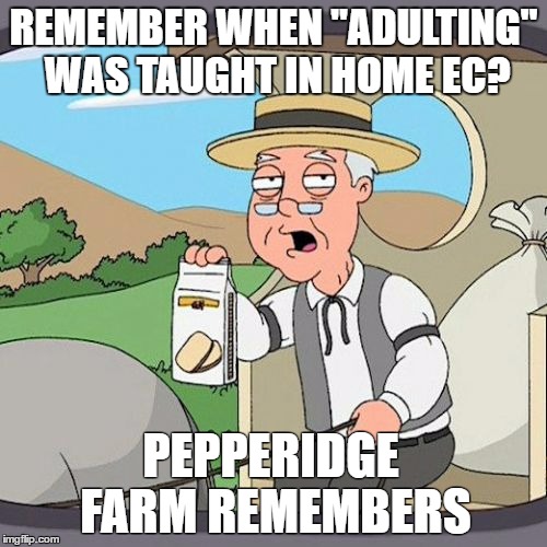 Pepperidge Farm Remembers | REMEMBER WHEN "ADULTING" WAS TAUGHT IN HOME EC? PEPPERIDGE FARM REMEMBERS | image tagged in memes,pepperidge farm remembers | made w/ Imgflip meme maker