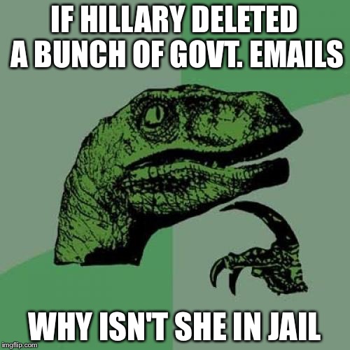 Philosoraptor | IF HILLARY DELETED A BUNCH OF GOVT. EMAILS; WHY ISN'T SHE IN JAIL | image tagged in memes,philosoraptor | made w/ Imgflip meme maker