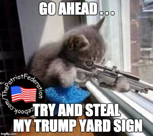 Sniper Cat (500px wide) | GO AHEAD . . . TRY AND STEAL MY TRUMP YARD SIGN | image tagged in sniper cat 500px wide | made w/ Imgflip meme maker