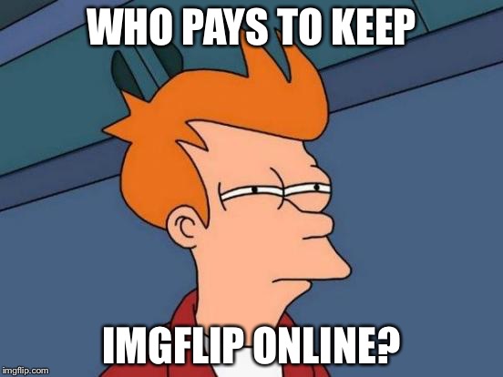 Futurama Fry | WHO PAYS TO KEEP; IMGFLIP ONLINE? | image tagged in memes,futurama fry | made w/ Imgflip meme maker