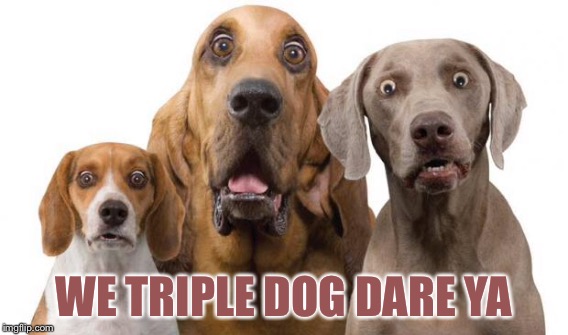 WE TRIPLE DOG DARE YA | made w/ Imgflip meme maker