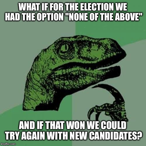 Philosoraptor | WHAT IF FOR THE ELECTION WE HAD THE OPTION "NONE OF THE ABOVE"; AND IF THAT WON WE COULD TRY AGAIN WITH NEW CANDIDATES? | image tagged in memes,philosoraptor | made w/ Imgflip meme maker