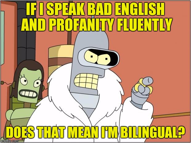 Does it? and what about shit talking? Is that just a hobby? | IF I SPEAK BAD ENGLISH AND PROFANITY FLUENTLY; DOES THAT MEAN I'M BILINGUAL? | image tagged in memes,bender,funny,language | made w/ Imgflip meme maker
