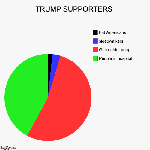 image tagged in funny,pie charts | made w/ Imgflip chart maker