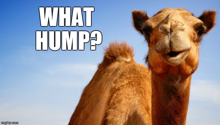 WHAT HUMP? | made w/ Imgflip meme maker