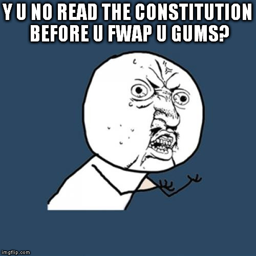 Y U No | Y U NO READ THE CONSTITUTION BEFORE U FWAP U GUMS? | image tagged in memes,y u no | made w/ Imgflip meme maker