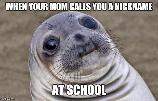 Awkward Moment Sealion Meme | WHEN YOUR MOM CALLS YOU A NICKNAME; AT SCHOOL | image tagged in memes,awkward moment sealion | made w/ Imgflip meme maker