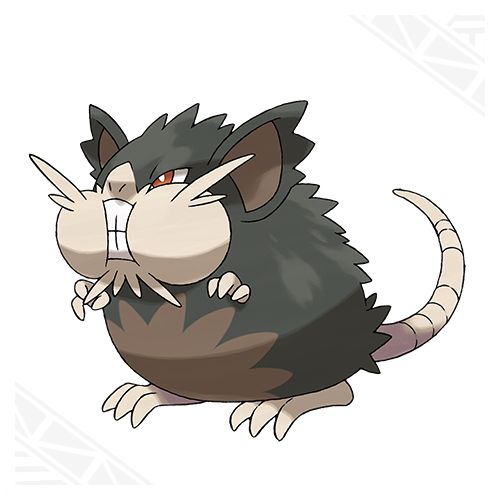 Alolan Raticate Blank Meme Template