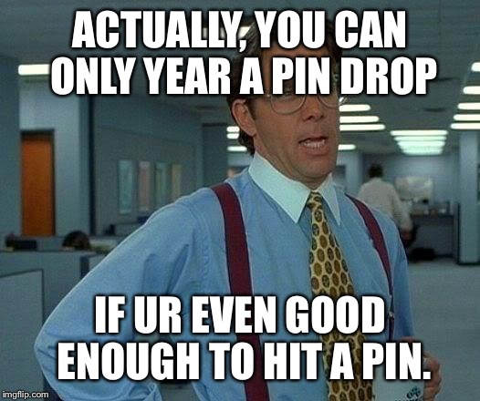 That Would Be Great Meme | ACTUALLY, YOU CAN ONLY YEAR A PIN DROP IF UR EVEN GOOD ENOUGH TO HIT A PIN. | image tagged in memes,that would be great | made w/ Imgflip meme maker