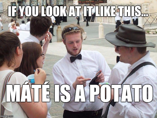 If you look at Máté like this v3 | IF YOU LOOK AT IT LIKE THIS... MÁTÉ IS A POTATO | image tagged in if you look at it like this,memes,mt,potato,thatbritishviolaguy | made w/ Imgflip meme maker