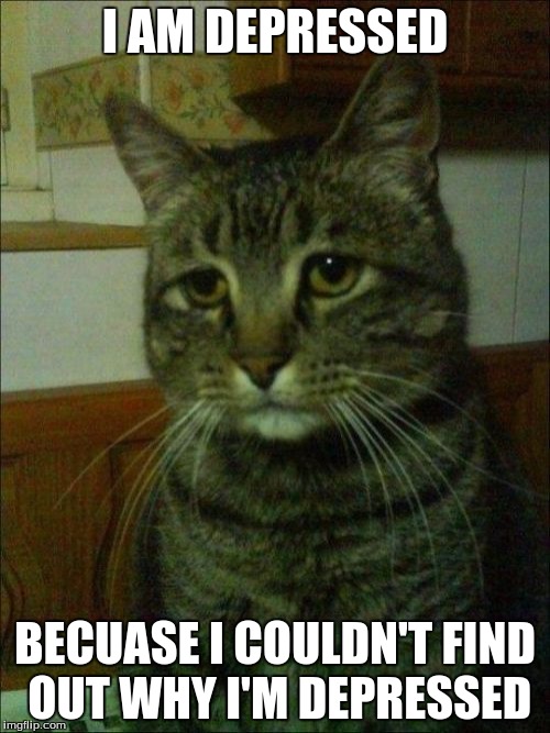 Depressed Cat | I AM DEPRESSED; BECUASE I COULDN'T FIND OUT WHY I'M DEPRESSED | image tagged in memes,depressed cat | made w/ Imgflip meme maker