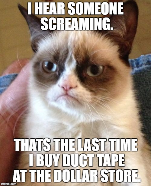 Grumpy Cat | I HEAR SOMEONE SCREAMING. THATS THE LAST TIME I BUY DUCT TAPE AT THE DOLLAR STORE. | image tagged in memes,grumpy cat | made w/ Imgflip meme maker