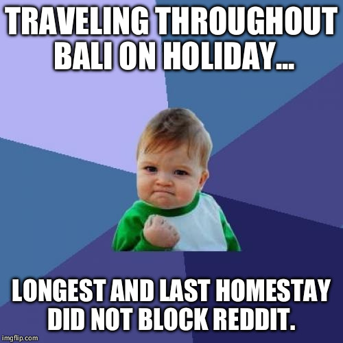 Success Kid Meme | TRAVELING THROUGHOUT BALI ON HOLIDAY... LONGEST AND LAST HOMESTAY DID NOT BLOCK REDDIT. | image tagged in memes,success kid,AdviceAnimals | made w/ Imgflip meme maker