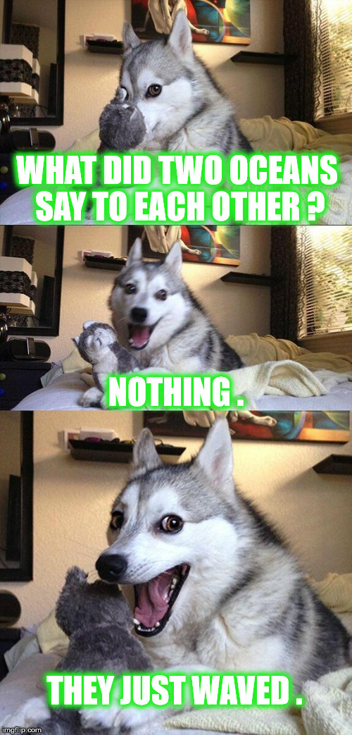 Bad Pun Dog Meme | WHAT DID TWO OCEANS SAY TO EACH OTHER ? NOTHING . THEY JUST WAVED . | image tagged in memes,bad pun dog | made w/ Imgflip meme maker