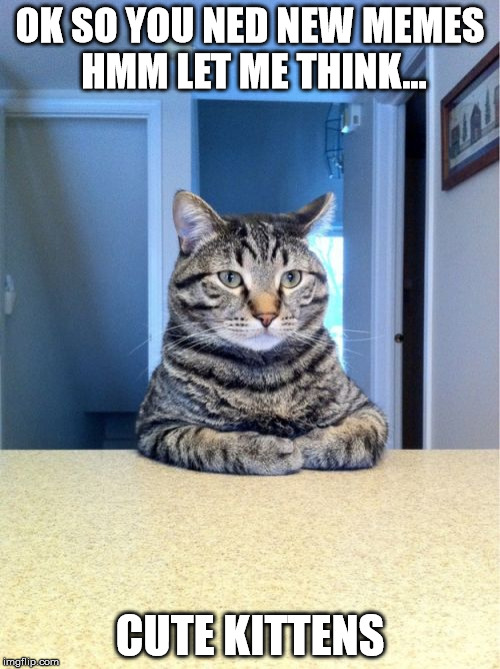 Take A Seat Cat | OK SO YOU NED NEW MEMES HMM LET ME THINK... CUTE KITTENS | image tagged in memes,take a seat cat | made w/ Imgflip meme maker