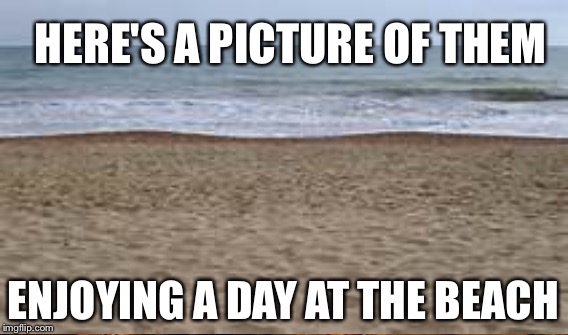 HERE'S A PICTURE OF THEM ENJOYING A DAY AT THE BEACH | made w/ Imgflip meme maker