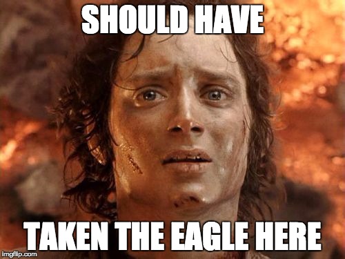 It's Finally Over Meme | SHOULD HAVE; TAKEN THE EAGLE HERE | image tagged in memes,its finally over | made w/ Imgflip meme maker