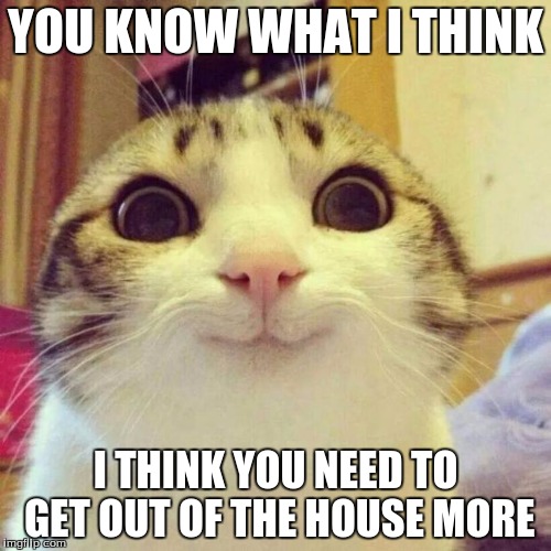 Smiling Cat | YOU KNOW WHAT I THINK; I THINK YOU NEED TO GET OUT OF THE HOUSE MORE | image tagged in memes,smiling cat | made w/ Imgflip meme maker