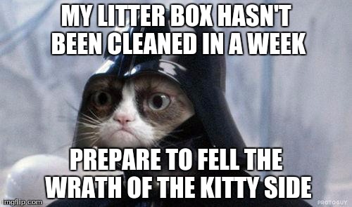 Grumpy Cat Star Wars Meme | MY LITTER BOX HASN'T BEEN CLEANED IN A WEEK; PREPARE TO FELL THE WRATH OF THE KITTY SIDE | image tagged in memes,grumpy cat star wars,grumpy cat | made w/ Imgflip meme maker
