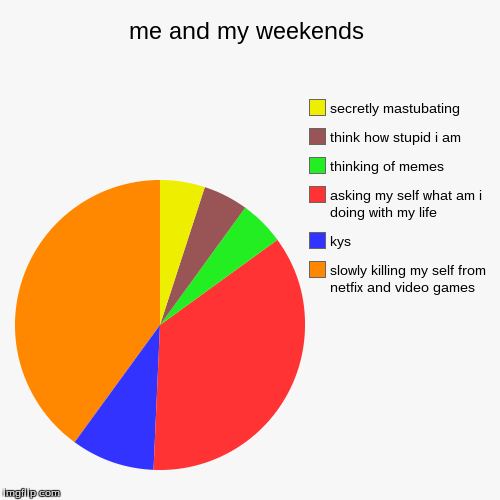 ME AND MY WEEKENDS | image tagged in funny,pie charts | made w/ Imgflip chart maker