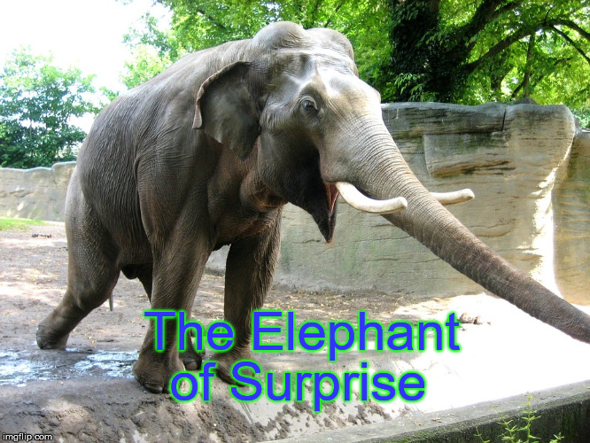  of Surprise; The Elephant | image tagged in memes,puns,elephant | made w/ Imgflip meme maker