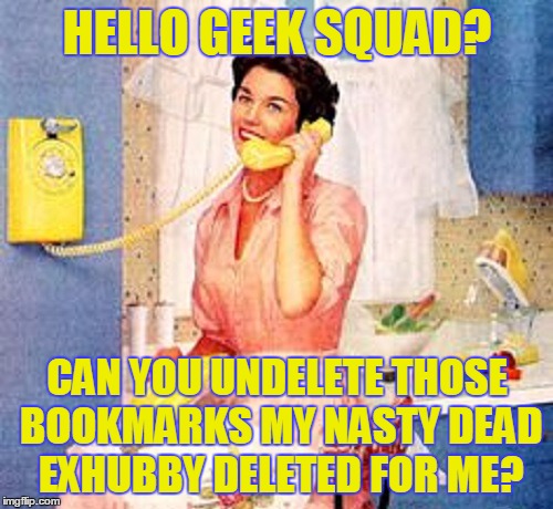 HELLO GEEK SQUAD? CAN YOU UNDELETE THOSE BOOKMARKS MY NASTY DEAD EXHUBBY DELETED FOR ME? | made w/ Imgflip meme maker