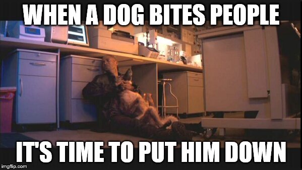 Iamsnappingthedogsneck | WHEN A DOG BITES PEOPLE; IT'S TIME TO PUT HIM DOWN | image tagged in dead dog,bad dog,i am legend,will smith,sammy | made w/ Imgflip meme maker