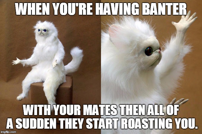 Persian Cat Room Guardian | WHEN YOU'RE HAVING BANTER; WITH YOUR MATES THEN ALL OF A SUDDEN THEY START ROASTING YOU. | image tagged in memes,persian cat room guardian | made w/ Imgflip meme maker