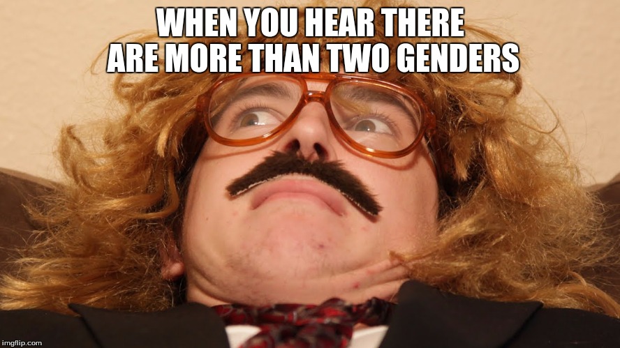Oh Gawd | WHEN YOU HEAR THERE ARE MORE THAN TWO GENDERS | image tagged in oh gawd,memes | made w/ Imgflip meme maker