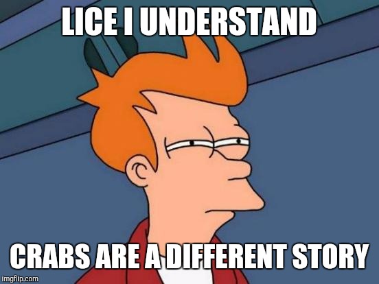 Futurama Fry Meme | LICE I UNDERSTAND CRABS ARE A DIFFERENT STORY | image tagged in memes,futurama fry | made w/ Imgflip meme maker