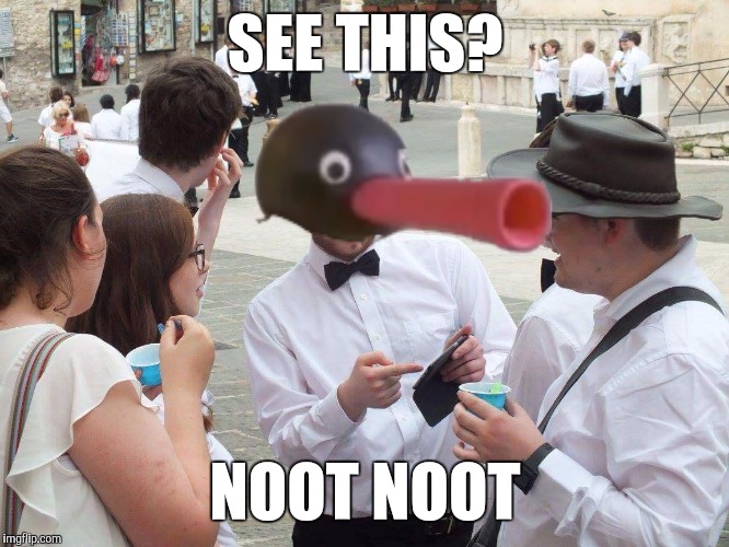 See this... NOOT NOOT |  SEE THIS? NOOT NOOT | image tagged in if you look at it this way,memes,pingu,see this,peter whitehead,thatbritishviolaguy | made w/ Imgflip meme maker
