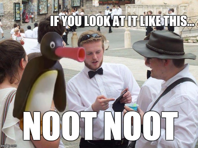 If you look at it like this... NOOT NOOT | IF YOU LOOK AT IT LIKE THIS... NOOT NOOT | image tagged in if you look at it like this,memes,pingu,noot noot,peter whitehead,thatbritishviolaguy | made w/ Imgflip meme maker