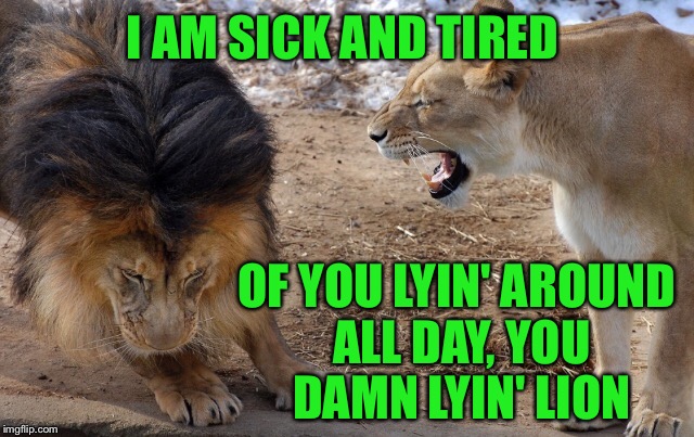 I mean... It's preseason football and I work hard all week and .... | I AM SICK AND TIRED; OF YOU LYIN' AROUND ALL DAY, YOU DAMN LYIN' LION | image tagged in memes,lions,lazy,play on words | made w/ Imgflip meme maker