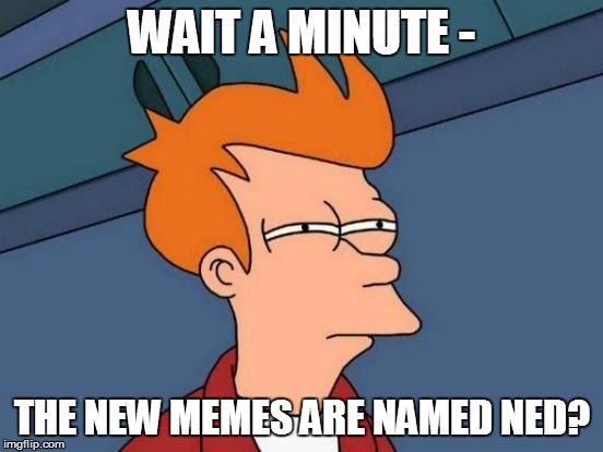 Futurama Fry Meme | WAIT A MINUTE - THE NEW MEMES ARE NAMED NED? | image tagged in memes,futurama fry | made w/ Imgflip meme maker