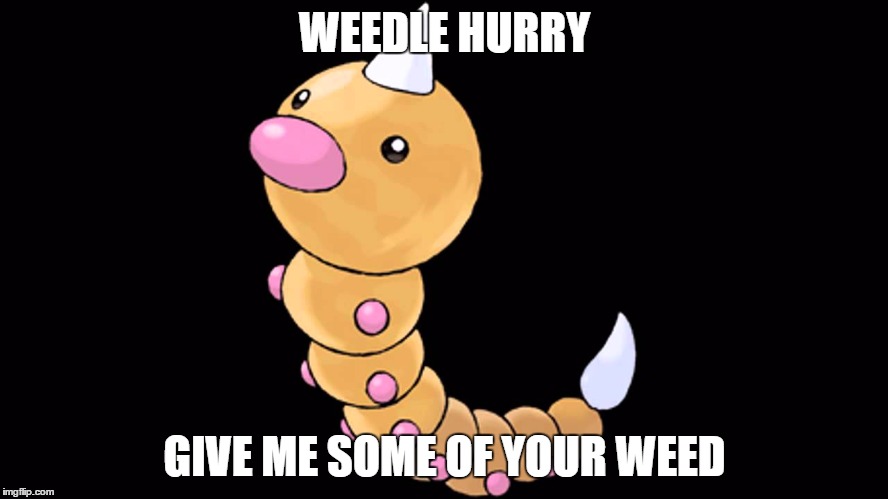 weedle | WEEDLE HURRY; GIVE ME SOME OF YOUR WEED | image tagged in weedle | made w/ Imgflip meme maker