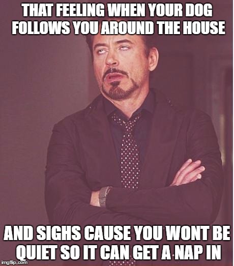 Face You Make Robert Downey Jr | THAT FEELING WHEN YOUR DOG FOLLOWS YOU AROUND THE HOUSE; AND SIGHS CAUSE YOU WONT BE QUIET SO IT CAN GET A NAP IN | image tagged in memes,face you make robert downey jr | made w/ Imgflip meme maker