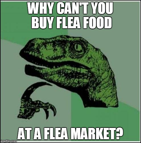 WHY CAN'T YOU BUY FLEA FOOD AT A FLEA MARKET? | made w/ Imgflip meme maker