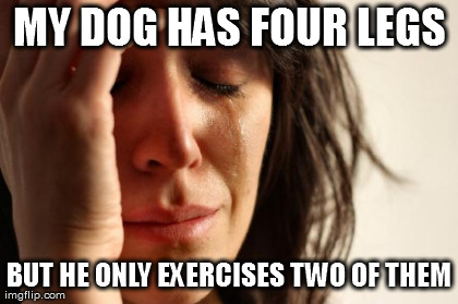 First World Problems Meme | MY DOG HAS FOUR LEGS BUT HE ONLY EXERCISES TWO OF THEM | image tagged in memes,first world problems | made w/ Imgflip meme maker