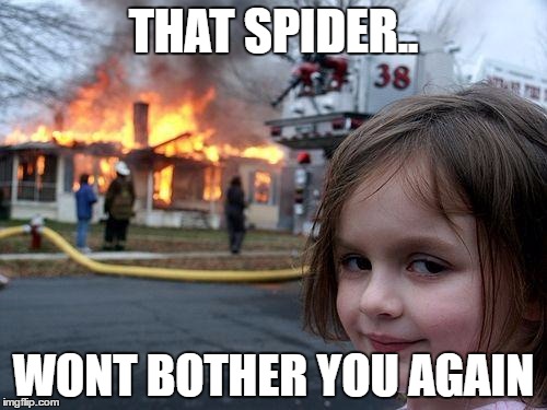 Disaster Girl Meme | THAT SPIDER.. WONT BOTHER YOU AGAIN | image tagged in memes,disaster girl | made w/ Imgflip meme maker