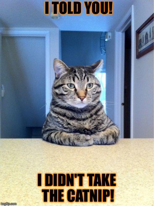 Take A Seat Cat Meme | I TOLD YOU! I DIDN'T TAKE THE CATNIP! | image tagged in memes,take a seat cat | made w/ Imgflip meme maker